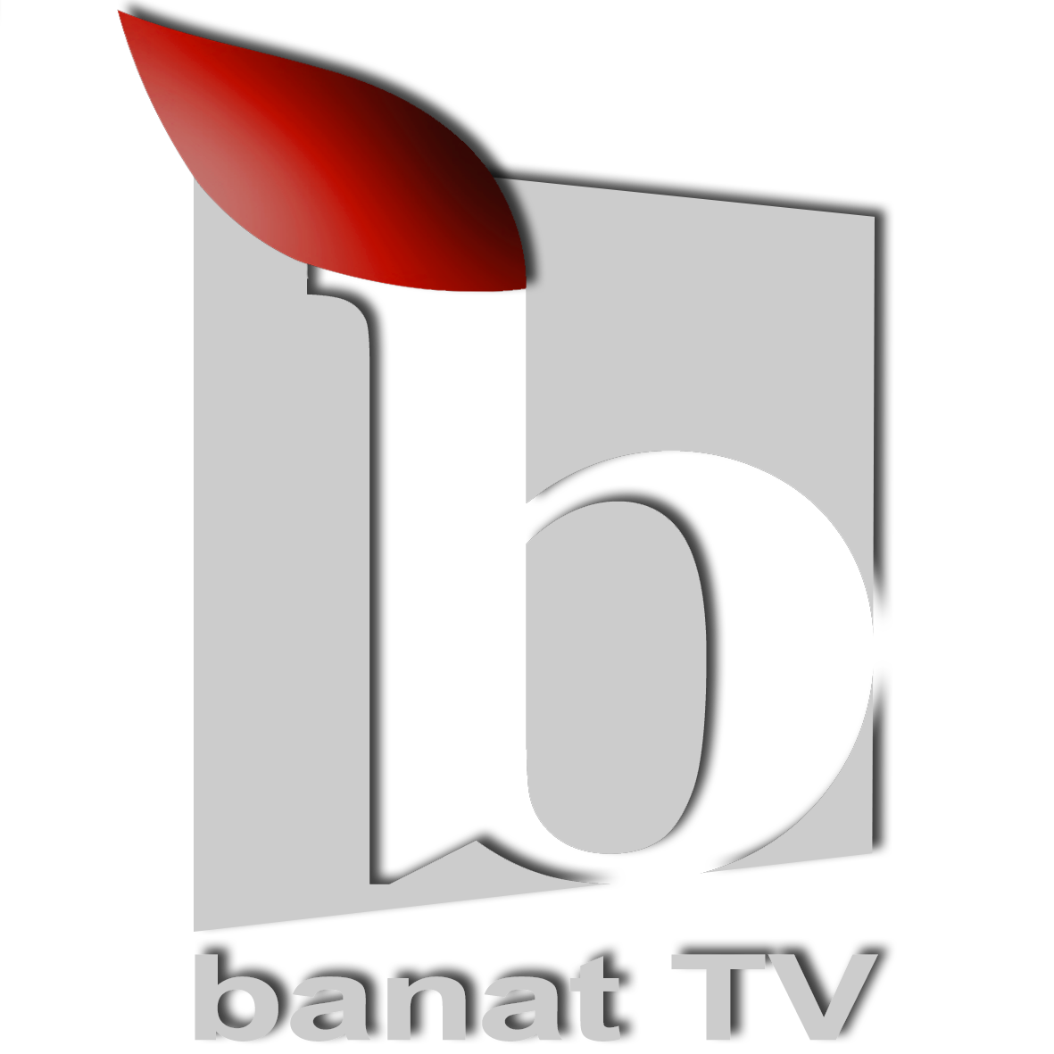 Banat TV